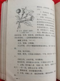 自学中医教材：“赤脚医生”培训教材——供南方地区培训参考使用（内有中药药方，针灸、中草药图等，请看实拍图和描述，1971年版）