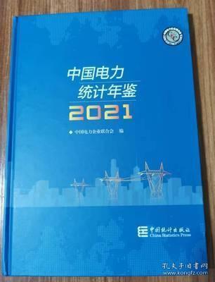 中国电力统计年鉴-2021