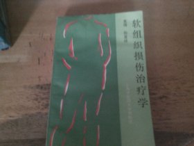 软组织损伤治疗学