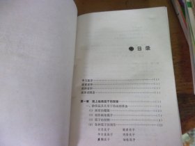 欧洲绘画大师技法和材料