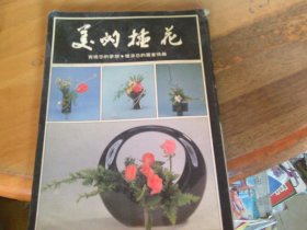美的插花