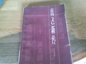 岳飞新传