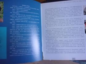 中国当代油画家风景写生画集 易利森