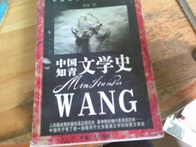 中国知青文学史