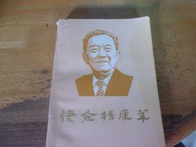 怀念杨康华