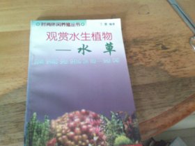 观赏水生植物 水草