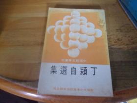 丁潁自選集