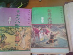 金庸著名武侠小说 绘画本第1+2辑全8册（倚天屠龙记、神雕侠侣、射雕英雄传、天龙八部、鹿鼎记、雪山飞狐、飞狐外传、书剑恩仇录、笑傲江湖）带原装函套1996年一版一印--品以图为准