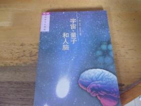 宇宙、量子和人脑