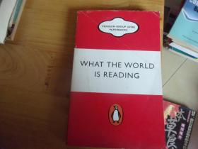 WHAT THE wORLD IS READING  英文原版