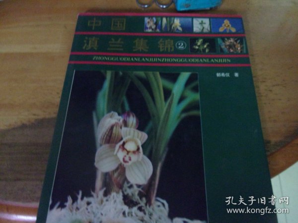 中国滇兰集锦2