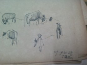 廣東省文史館館員.廣州老畫家李文育先生1959年素寫手稿一組31張,牛/邚牛/擠牛奶等,部分有簽名均保真,如圖實(shí)拍..