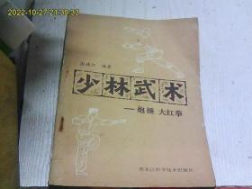 少林武术——炮捶大红拳