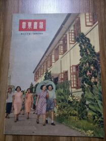 华东画报 1952年11月新三十七期 有罗兴所画连环画