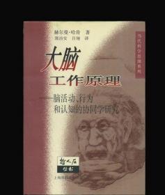 大脑工作原理：脑活动、行为和认知的协同学研究