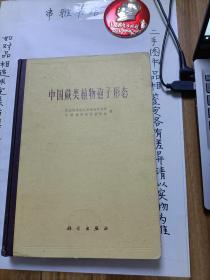 中国蕨类植物孢子形态【16开硬精装馆藏书】（1976年1版1刷仅印3050册）