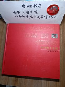 中国野生朱鹮  山林守望笔记（12开精装 ）