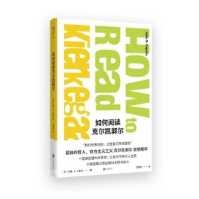 正版现货 如何阅读哲学家系列全4册 如何阅读尼采 福柯 克尔凯郭尔 德里达/英国格兰塔出版社全系how to read哲学启蒙读物