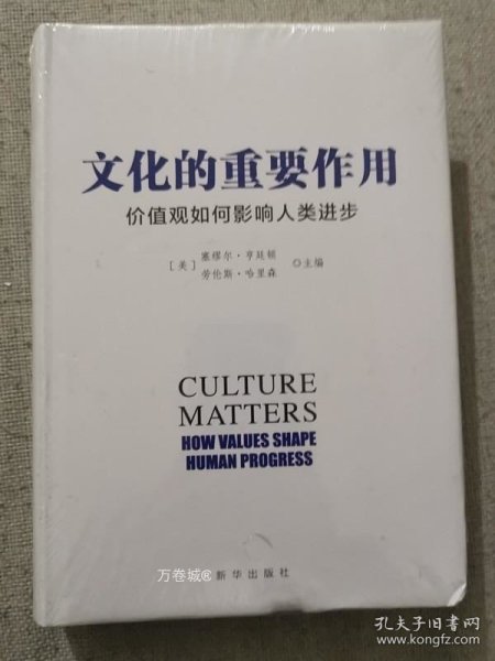 文化的重要作用：价值观如何影响人类进步