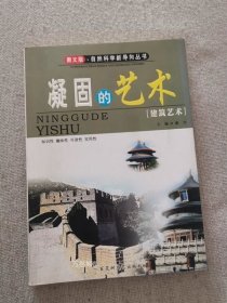 正版现货 九五新凝固的艺术 建筑艺术 谢宇编著 百花洲文艺出版社