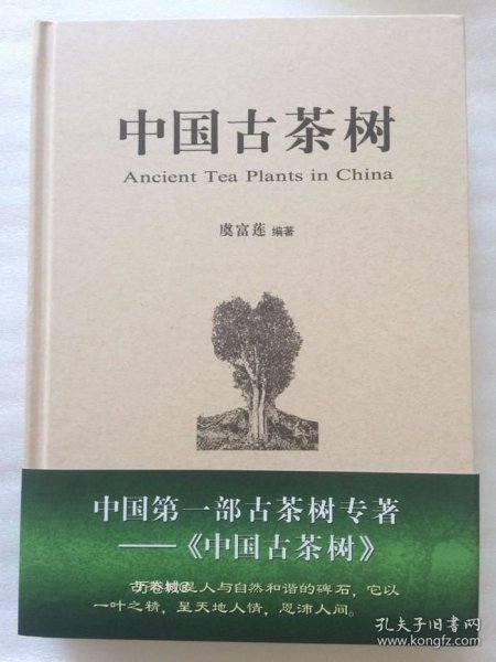 中国古茶树