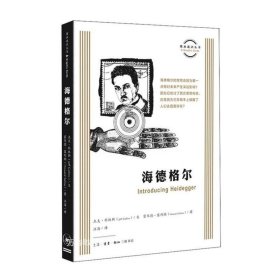 图画通识丛书：海德格尔