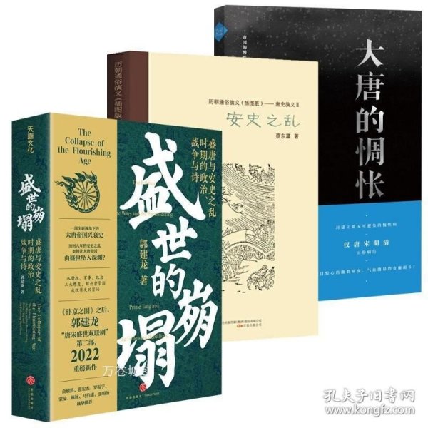 正版现货 3册盛世的崩塌+安史之乱+大唐的惆怅