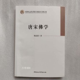 正版现货 唐宋佛学 魏道儒 著 中国社会科学出版社