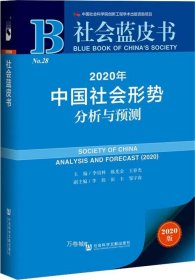 社会蓝皮书：2020年中国社会形势分析与预测