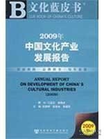 2009年中国文化产业发展报告