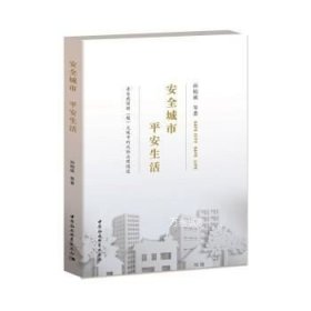 正版现货 中国特(超)大城市公共安全风险治理报道:安全城市 平安生活