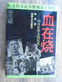 血在烧:中日长沙四次会战纪实