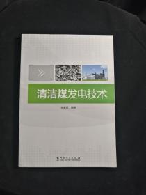 清洁煤发电技术