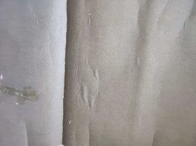 迎客松【MRZH006】