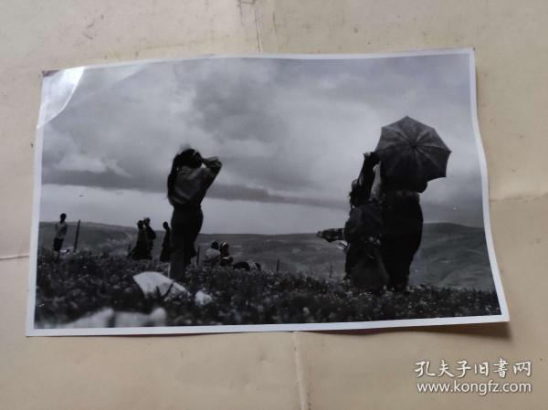 热风又名故土【KZP001】