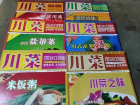 川菜2005试刊+2006年1-12期（ZFJ008）