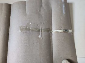 迎客松【MRZH006】