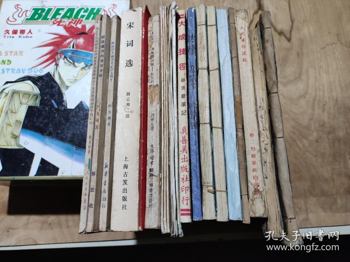 略论党内的意见分歧