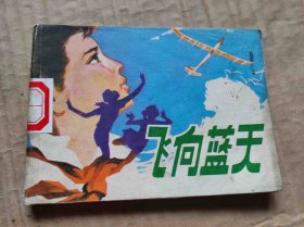 飛向藍(lán)天（DLH009）