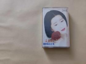 孟庭苇 谁的眼泪在飞两盘磁带【KDJ022】