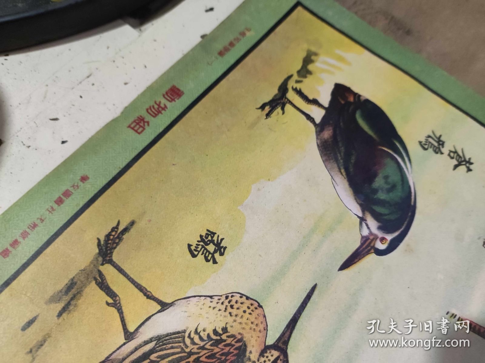 社会主义发展史第二组原始社会 动物组8（ZH009）