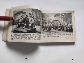 杜鹃山（DLH0010）