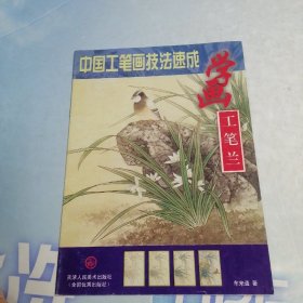 中国工笔画技法速成：学画工笔兰