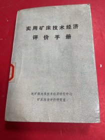 实用矿床技术经济评价手册