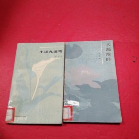 小溪九道弯+大海落叶 2本合售