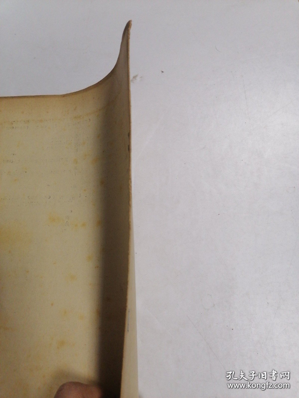 夏日漱石及其《我是猫》