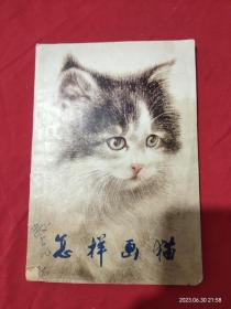 怎样画猫