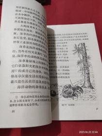 地理知识读物 海底世界