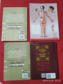 保健按摩师 第二版 初级 中级 高级、基础知识、人体经络使用图册、经络穴位传统疗法全书 四本合售