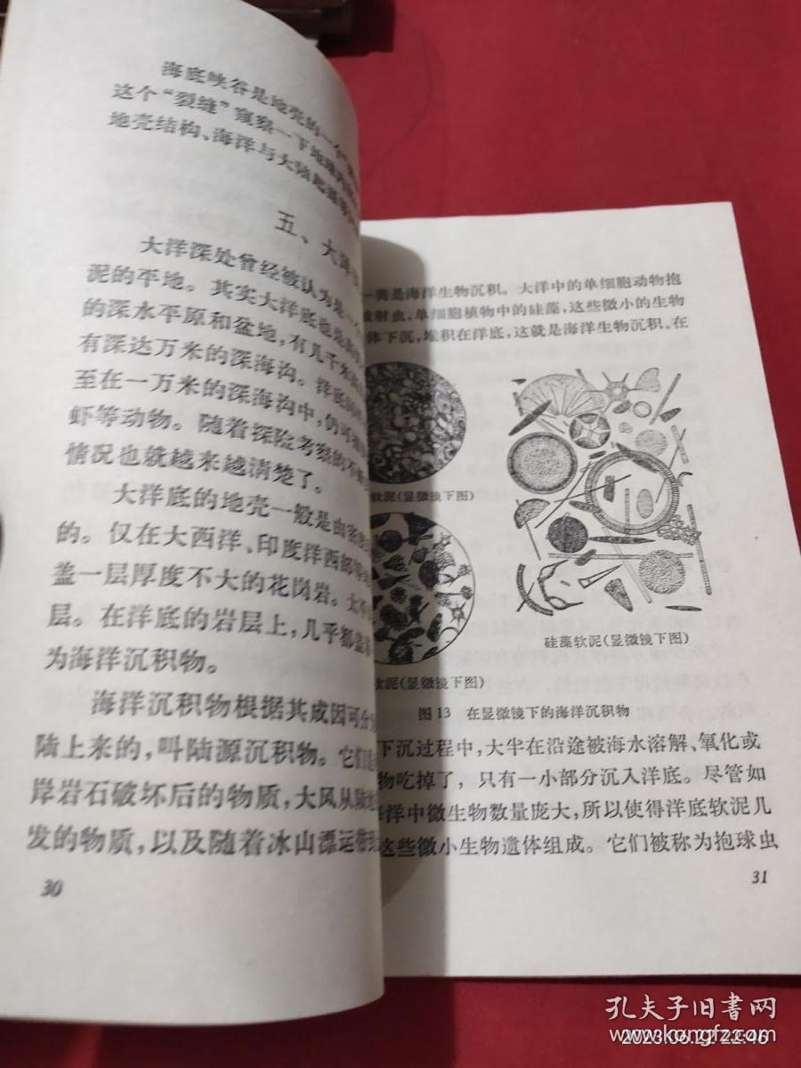 点击查看原图 地理知识读物 海底世界